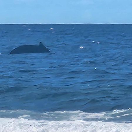 moorea temae bungalow lorry bord de mer Eksteriør bilde