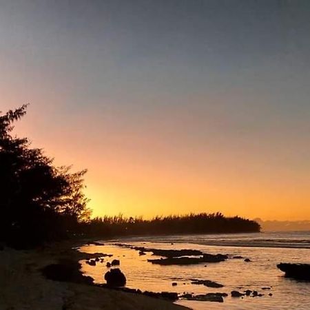 moorea temae bungalow lorry bord de mer Eksteriør bilde
