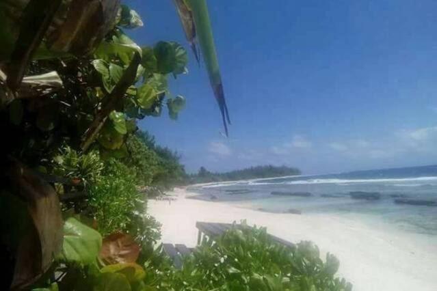 moorea temae bungalow lorry bord de mer Eksteriør bilde